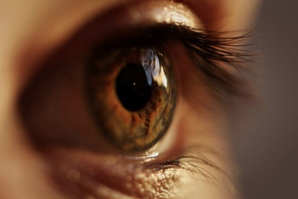 درمان و دارورسانی زخم های عمیق چشمی توسط ساخت نوعی هیدروژل