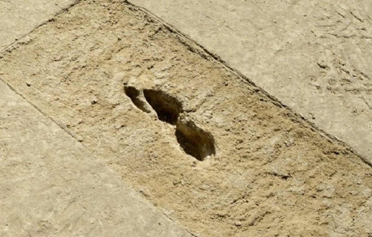 ردپاهای شگفت انگیزی با قدمت ۱۰ هزار ساله در صحرای یوتا پیدا شد به همراه عکس