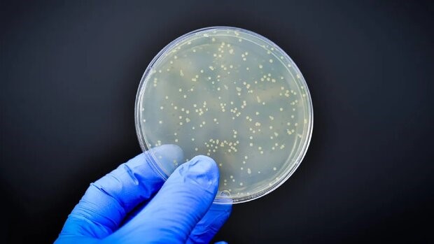 از بین بردن زودتر باکتری ها با یک پوشش مسی مدرن