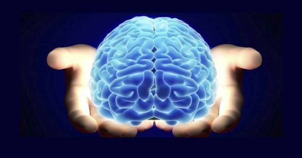نکات جالب توجهی درباره مغز انسان