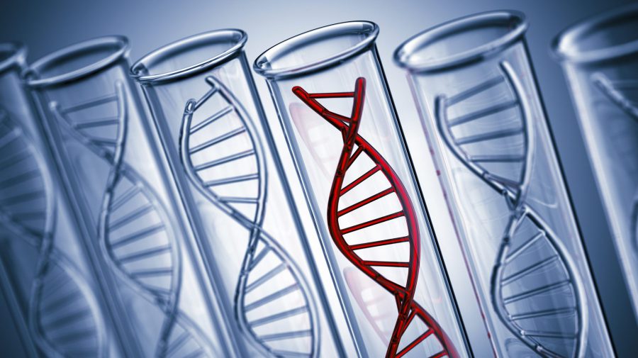 درمان ویرایش ژن برای اولین بار تایید شد