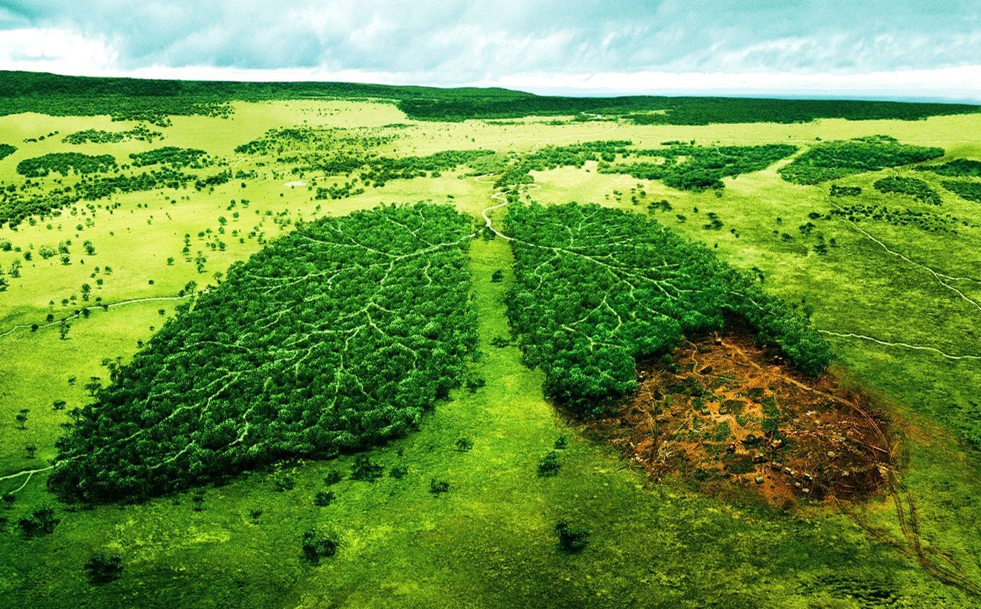به مناسبت پنجم ژوئن روز جهانی محیط زیست, زمین در خطر است!